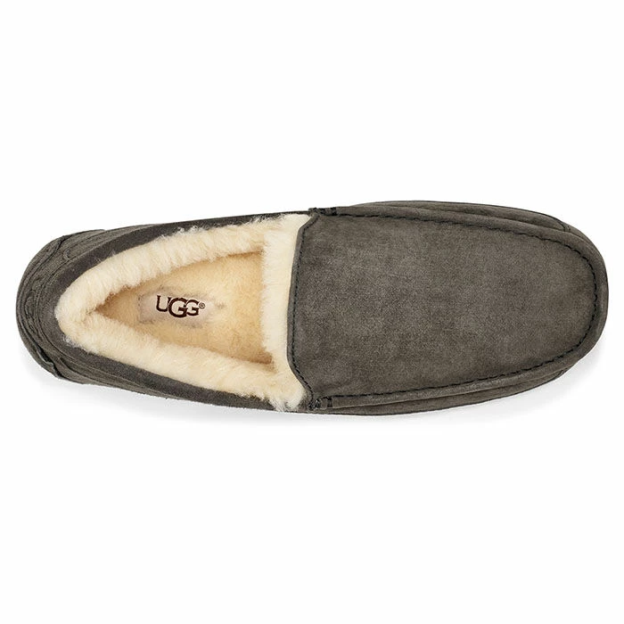 Brand new โญ Best Pirce โจ UGG Men's Ascot Slipper ๐ฅฐ โ๏ธ - Image 3